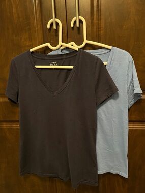 J. Crew Slub Cotton Tees, Bundle of (2)